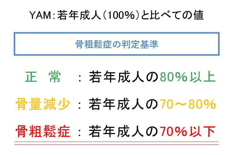 骨密度検査（DEXA法）